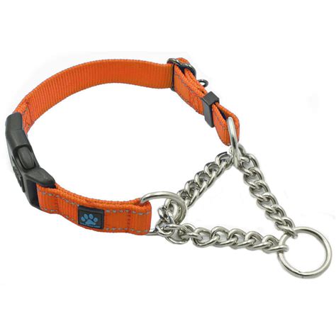 orange martingale dog collar